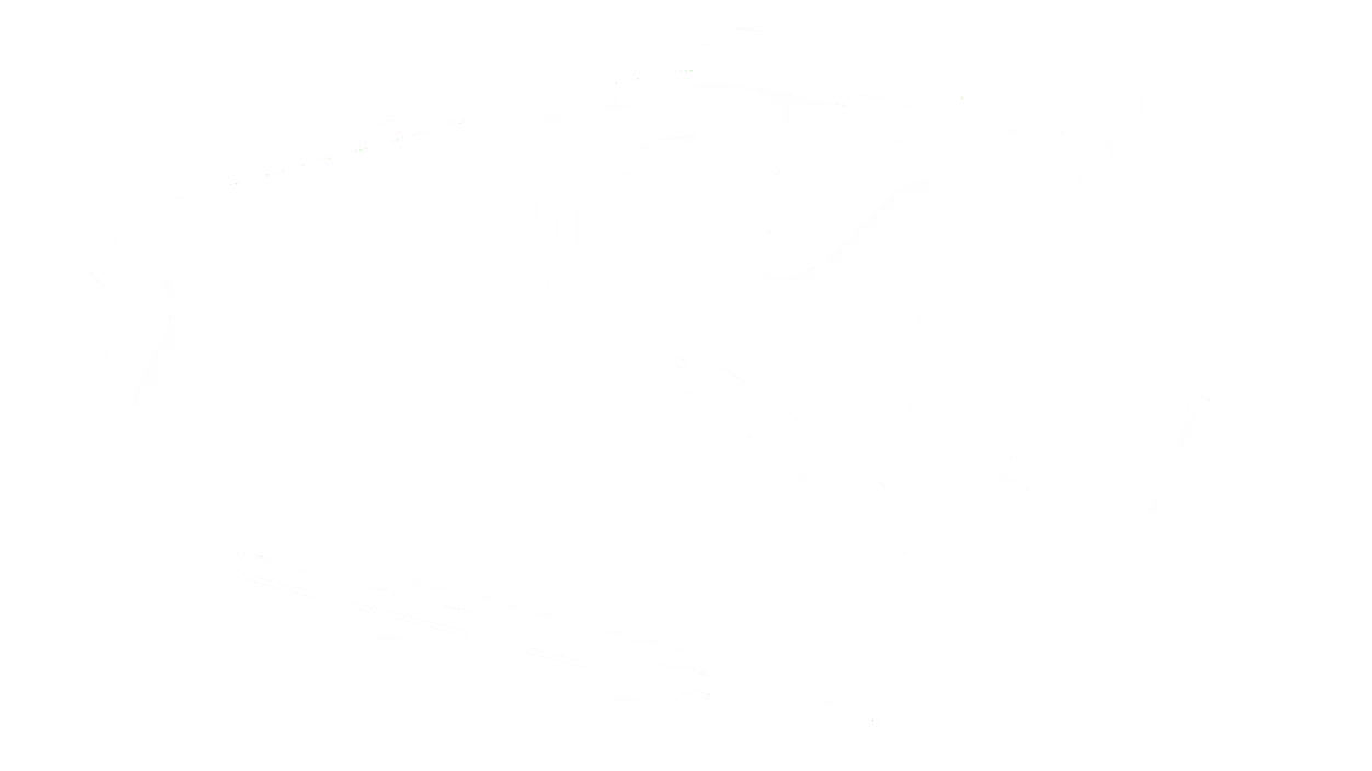 São Paulo track layout